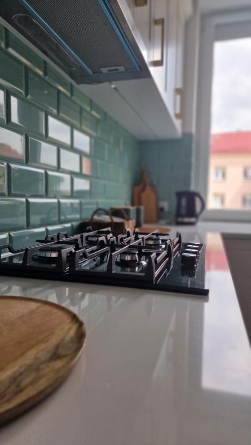 Appartement Alfama Garden à Grudziądz Extérieur photo