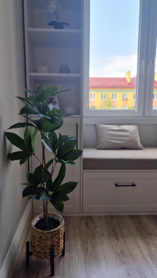 Appartement Alfama Garden à Grudziądz Extérieur photo