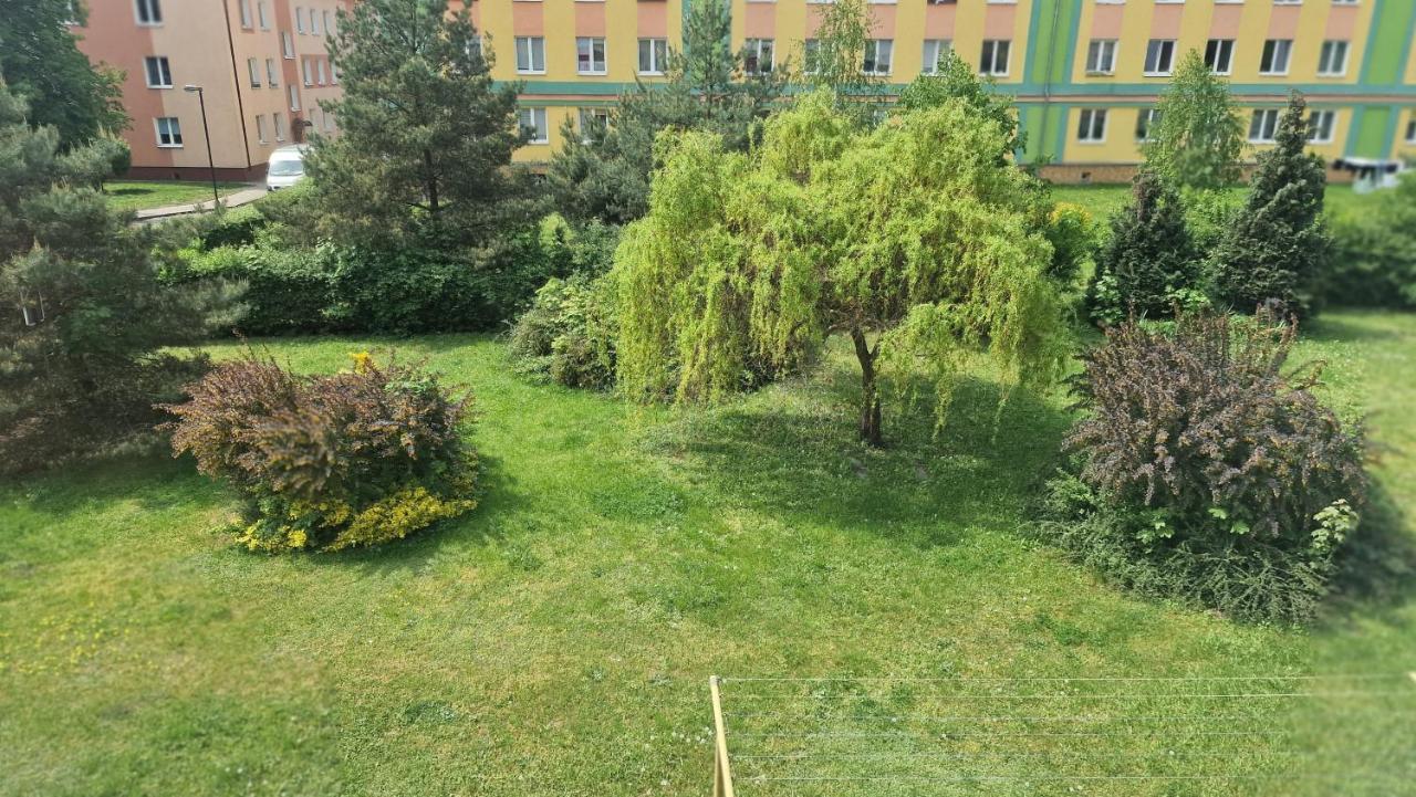 Appartement Alfama Garden à Grudziądz Extérieur photo